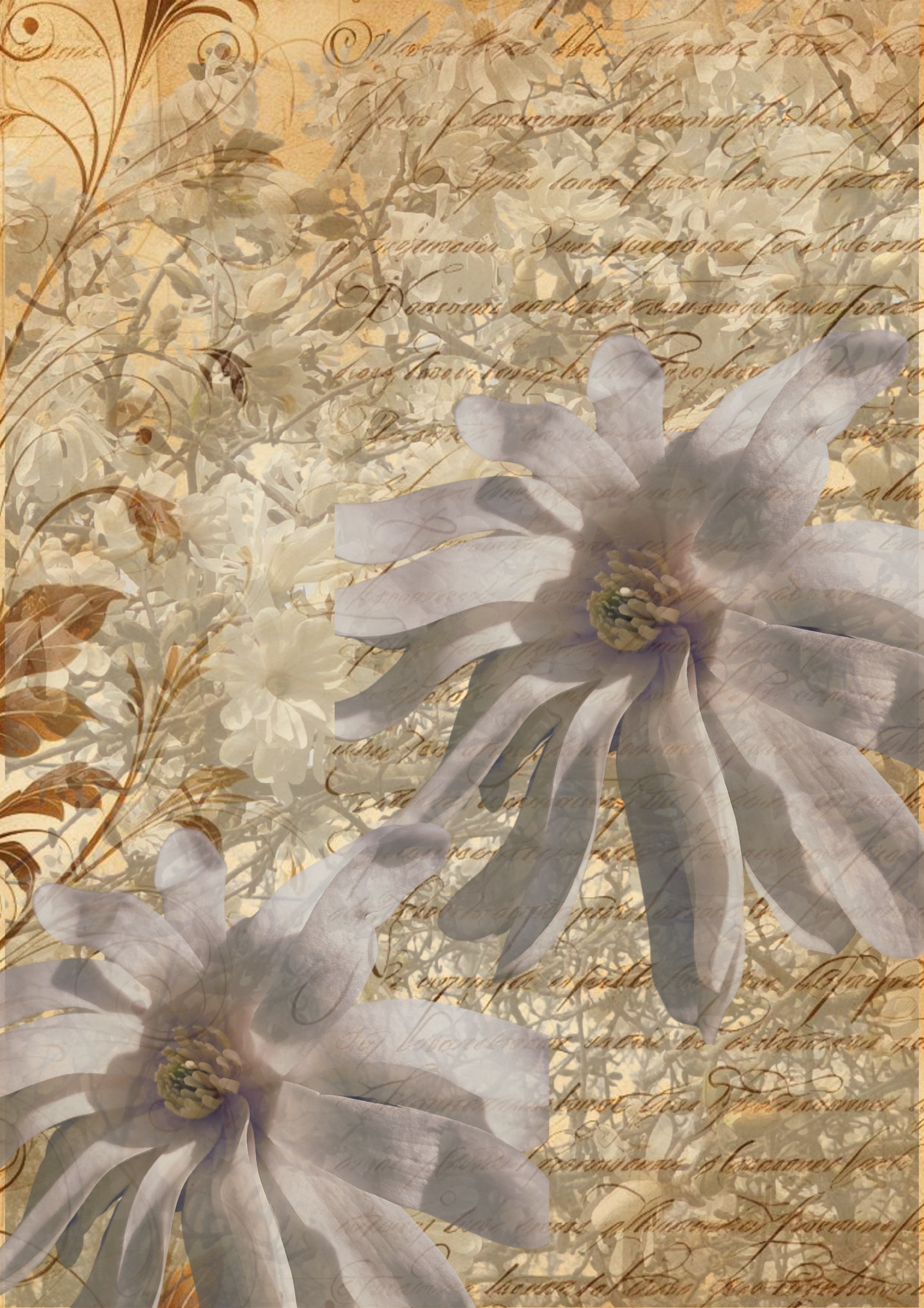 Flower Themed Decoupage Papers