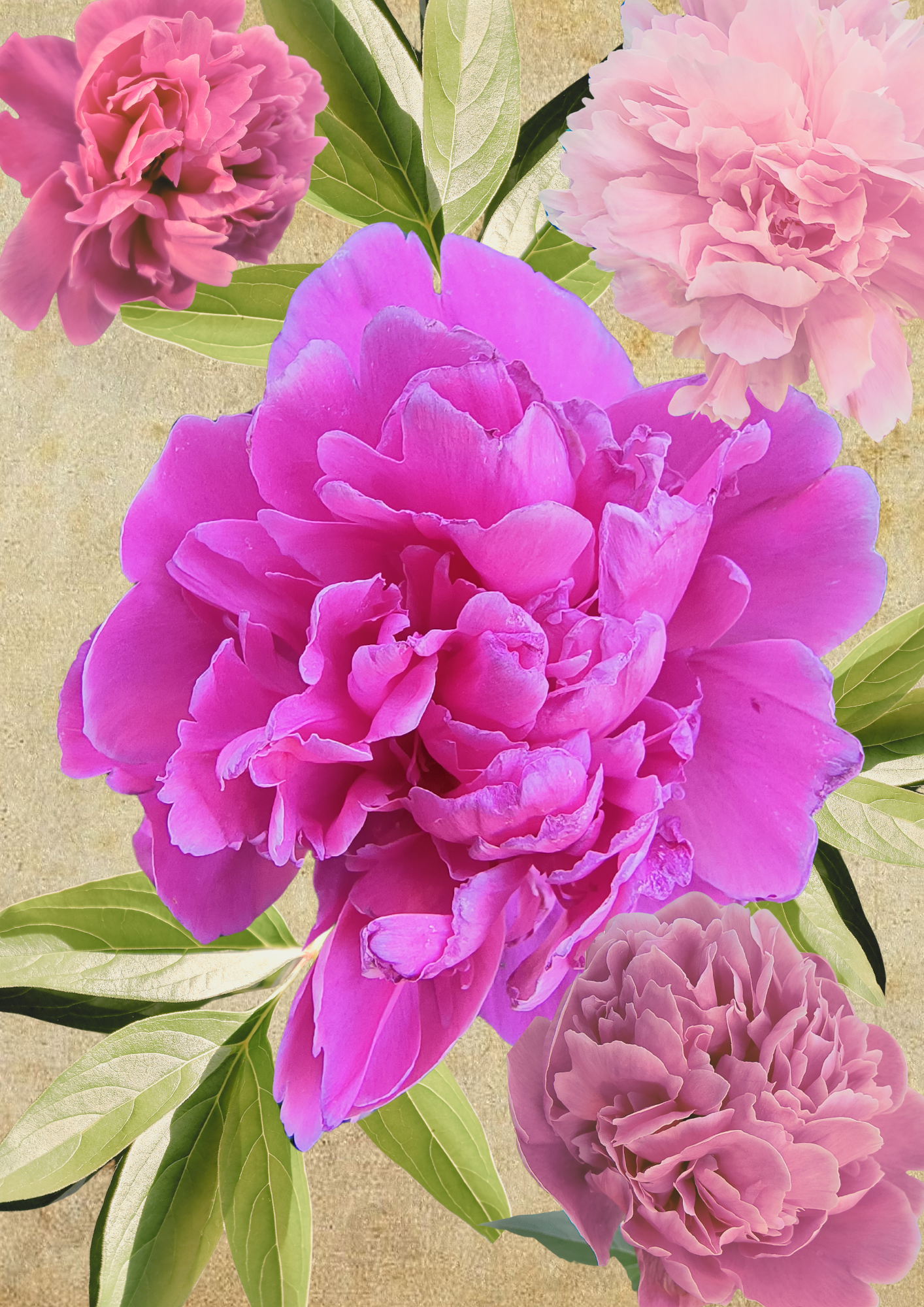 Flower Themed Decoupage Papers